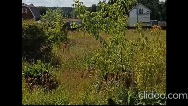 ЗУ :2059 п. Майдарово