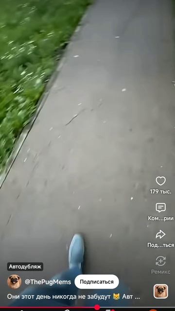 Бог настоящий 🤣