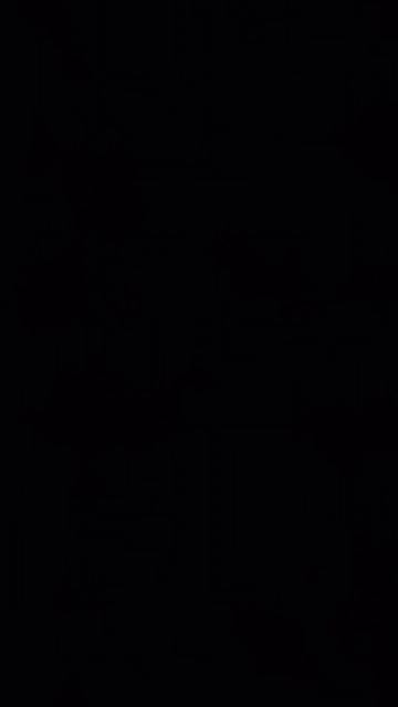 6456.mp4