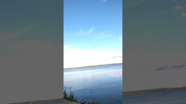 Сенеж. Букетик цветов. Вспоминаю лето.