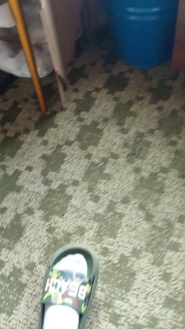 Кися поймала крота!!!!