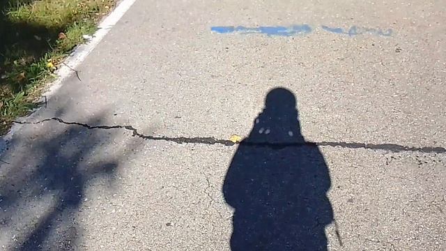 Блог из парка🌳🛝. Сегодня я много заснял😀, покажу вам от яблок🍎 до проделывания загарной зоны😮!