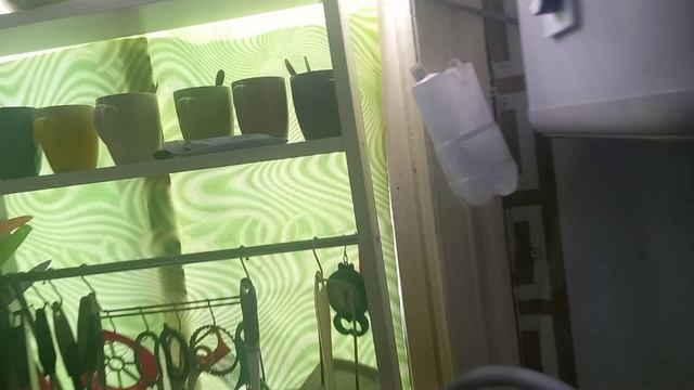 Проспала до обеда , хоть и завтракала