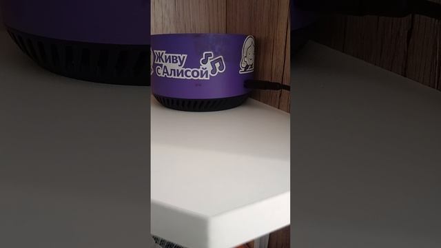 Прикол с Яндекс Алисой