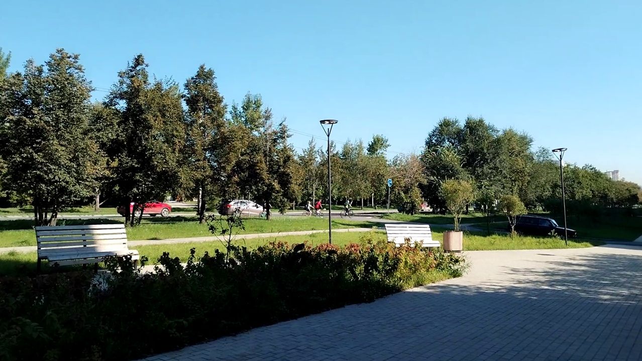 Утренняя прогулка 25 августа 2026 года, теплая погода.