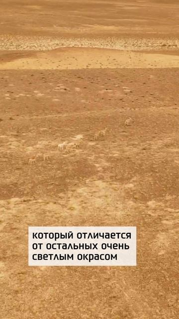 Маленькое чудо природы