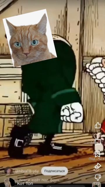 кот ливси