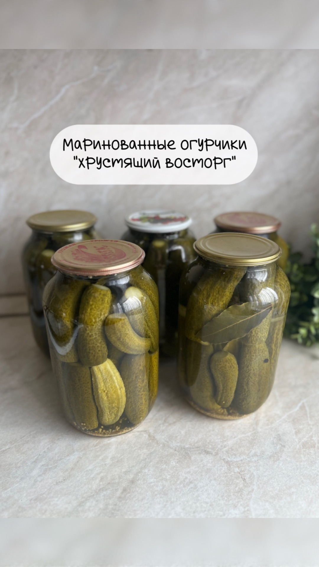 Маринованные огурчики