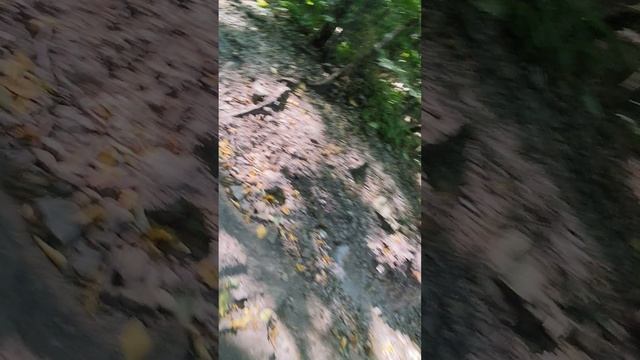 ПОХОД НА БЕШТАУ 2 ЧАСТЬ
