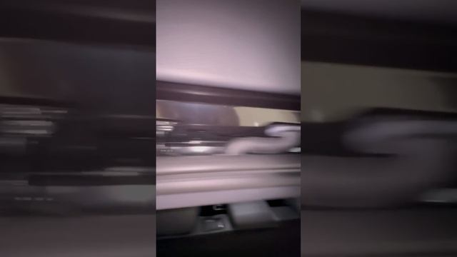 VID_20260825_180209_919.mp4
