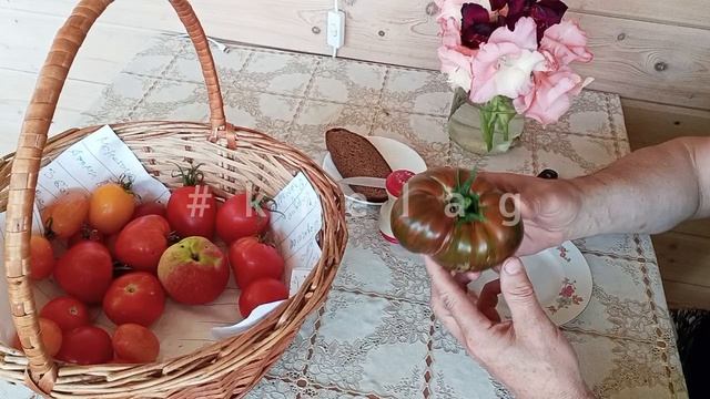 ,, Странная вещь Девочки 