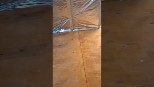 1000067894.mp4 Собака слушает о креплении листов фанеры на пол в ванной комнате в доме А-фрейм