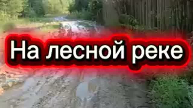 РЫБАЛКА НА ЛЕСНОЙ РЕКЕ