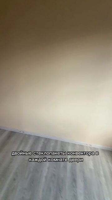 Новый свет Гатчина