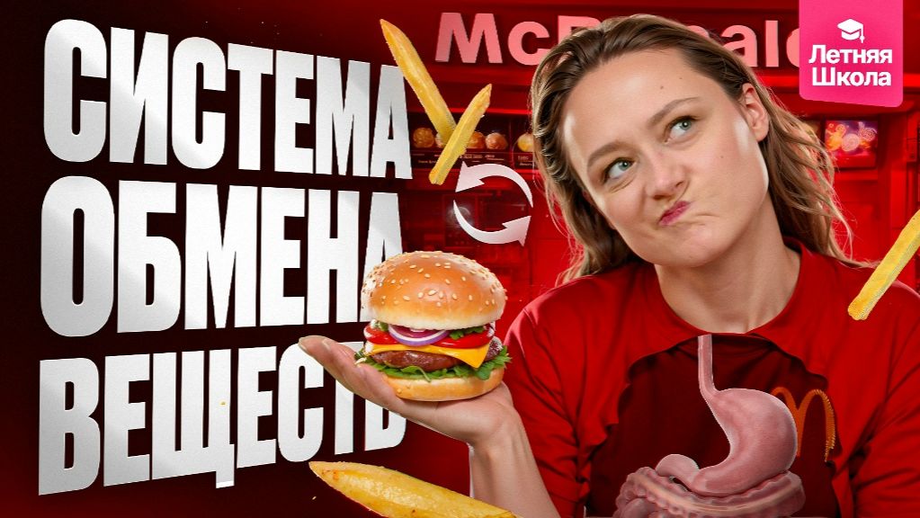 8.1 Пищеварительная система. Обмен веществ | Stepenin.ru