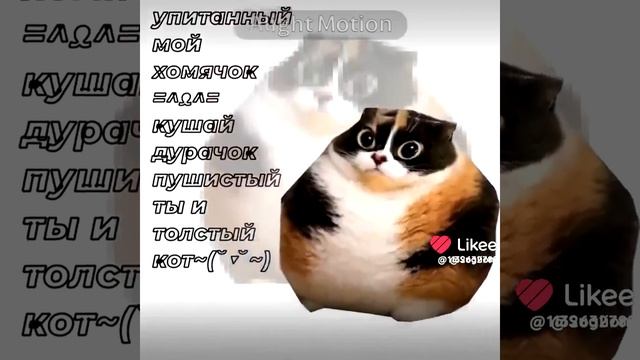 сегодня я захотел выпускать много новых видео