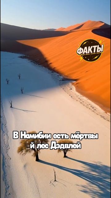 10 фактов часть 56