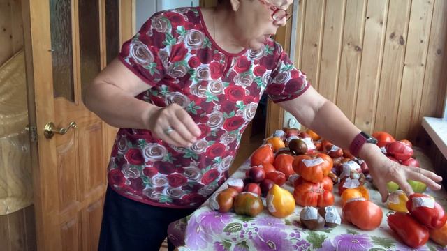 Продолжаю собирать семена атлантов и гномов. 6 часть.
