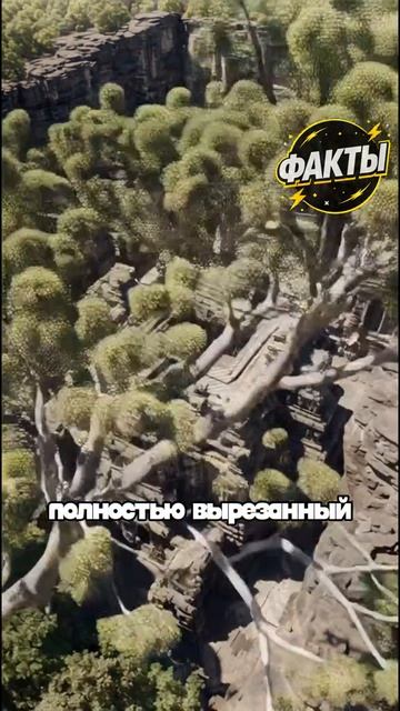10 фактов часть 57