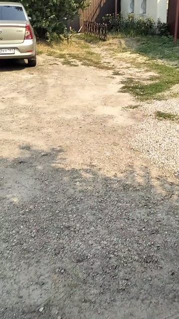 лунныйдень 25.08.26