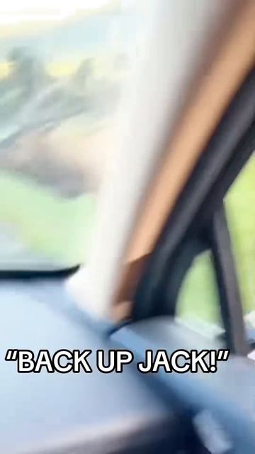 Забавный лось 🤣