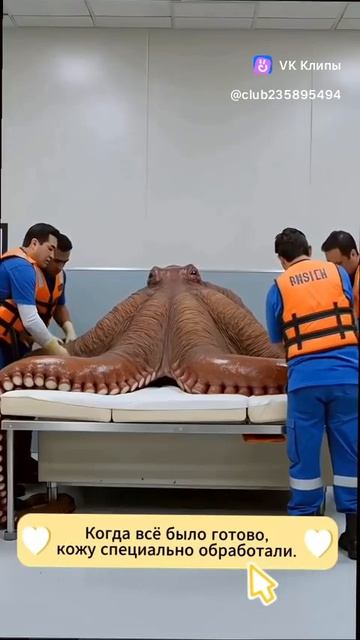 Saving The Big Octopus 🐙( осьминог)