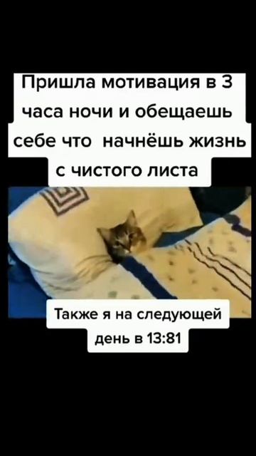 #смех#юмор#топ#рекомендации