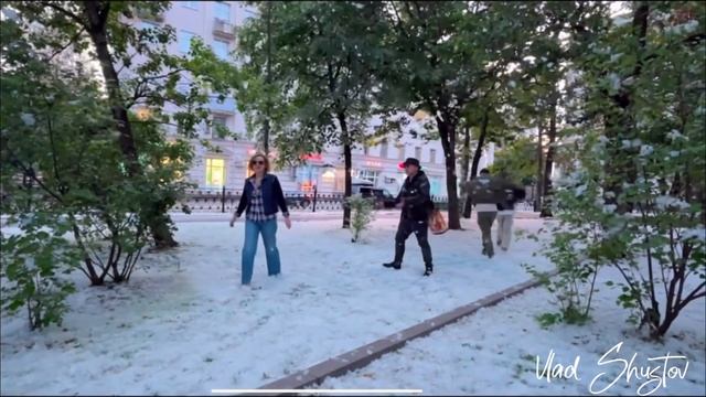 Пухососы (Влад Шустов. Нейроклип)