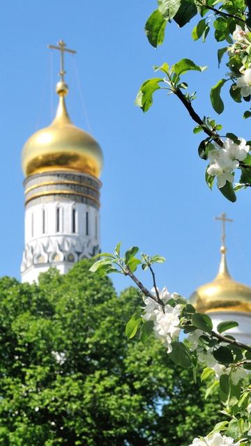 Душевный лекарь#Церковь#shortvideo#shorts#Молитва#Православие