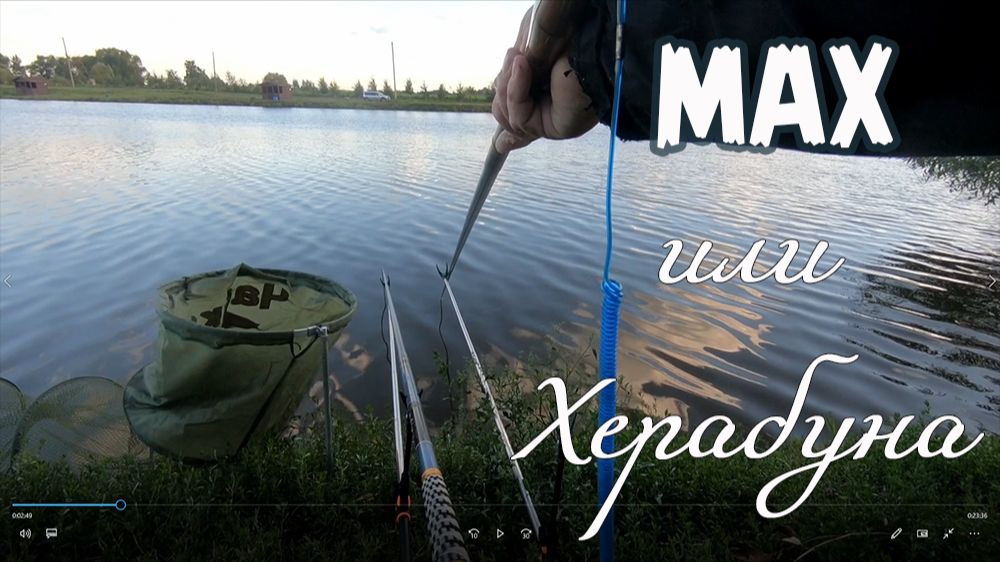 Мах или херабуна. Ловля карпа