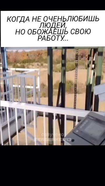 Когда не очень любишь людей но обожаешь свою работу