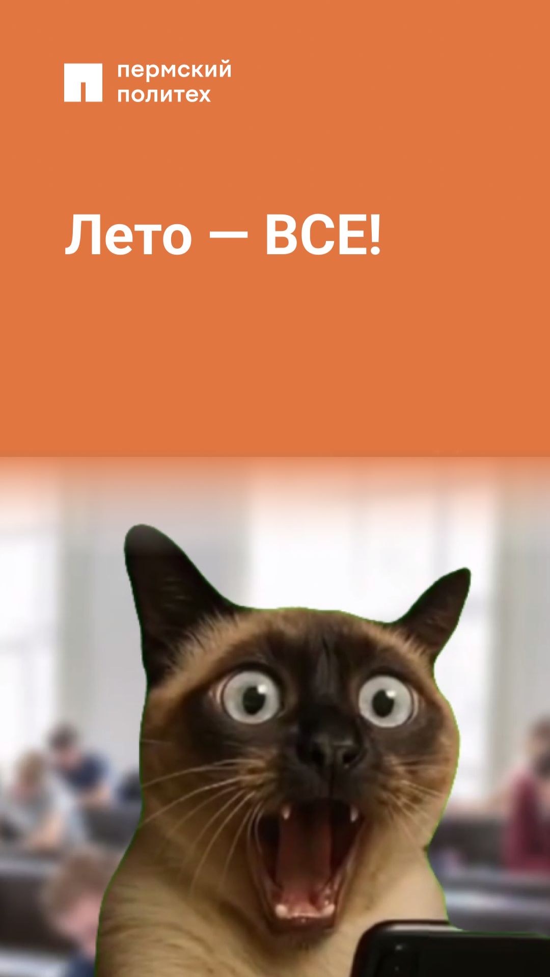 Лето — ВСЕ!