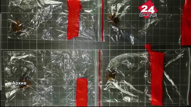 Димитровградцы отдали мошенникам свыше 118 тысяч рублей