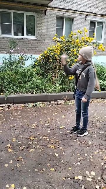 пагоня