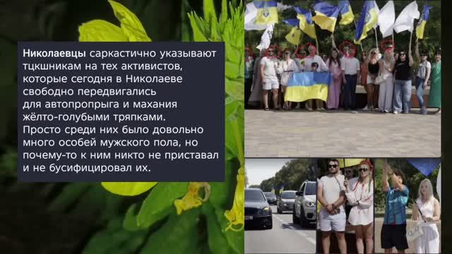 Николаев 25 августа 2026 года новости