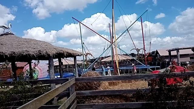 Козы и овцы на бахче Панамаревых