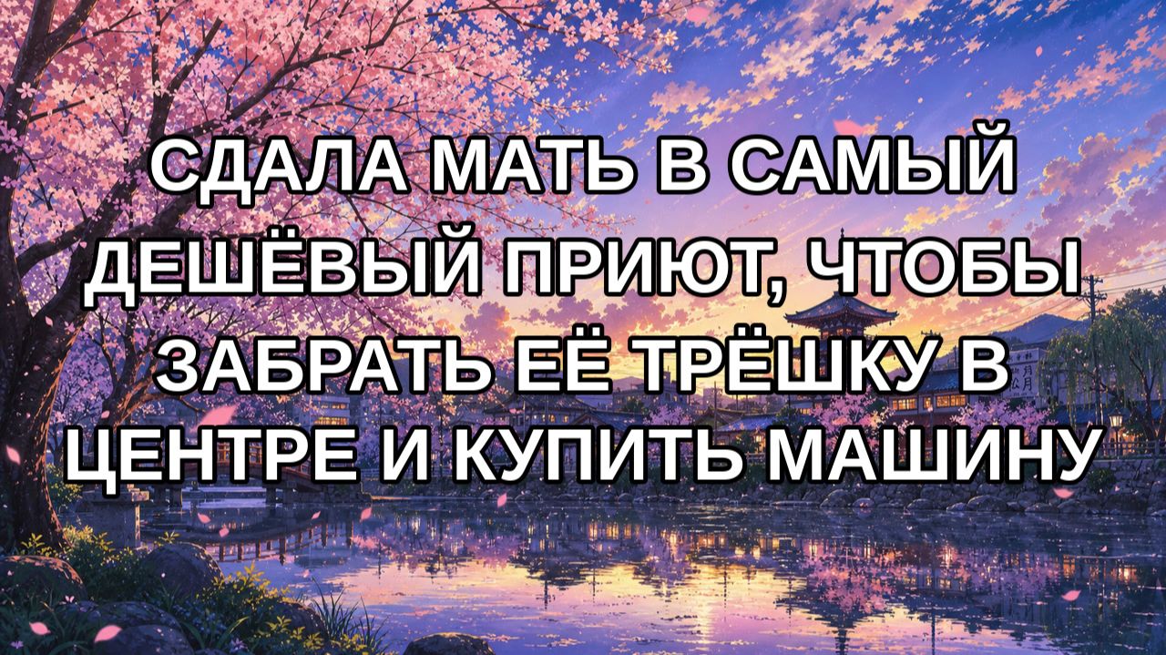 Сдала мать в самый дешёвый приют чтобы забрать её трёшку в центре и купить машину