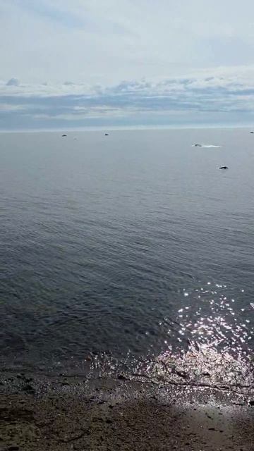 Белое море. Август.