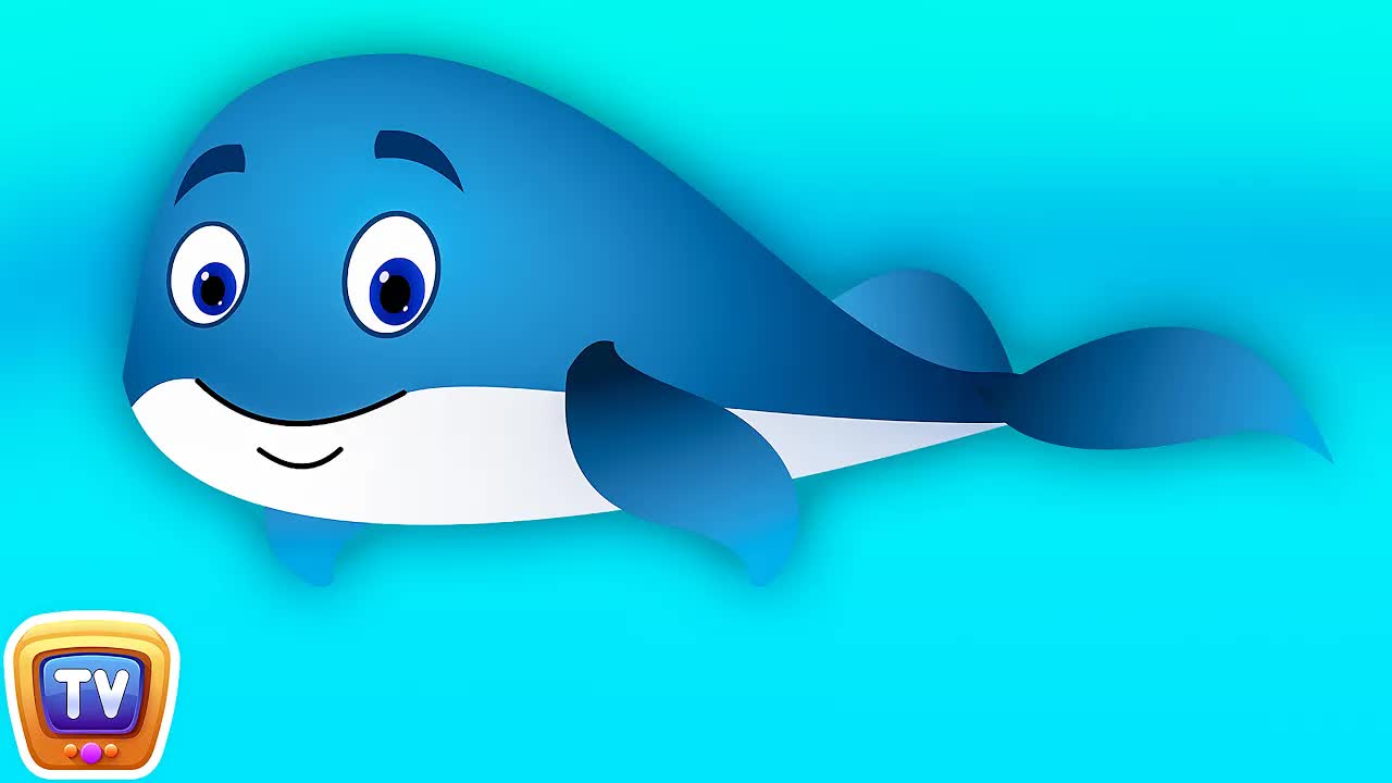 Голубой кит - Детский стишок | Песни о животных и детские стишки от ChuChu TV