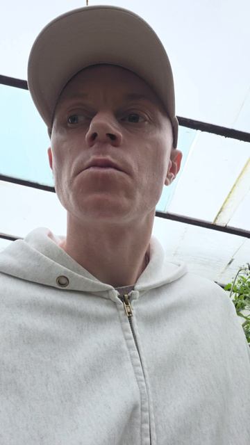 ПОМИДОРЫ