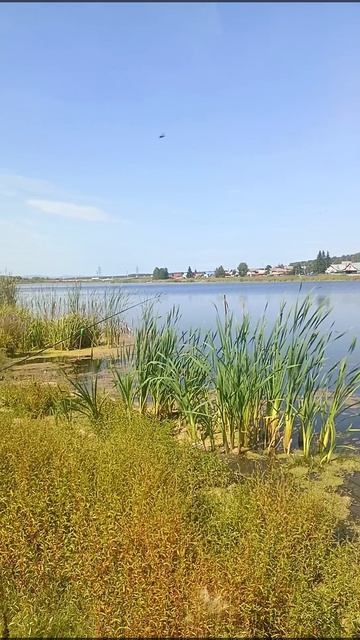 рыбалка