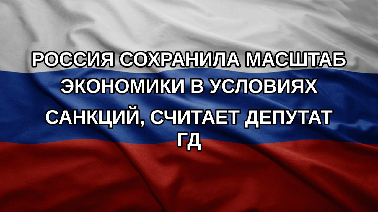 Россия сохранила масштаб экономики в условиях санкций, считает депутат ГД