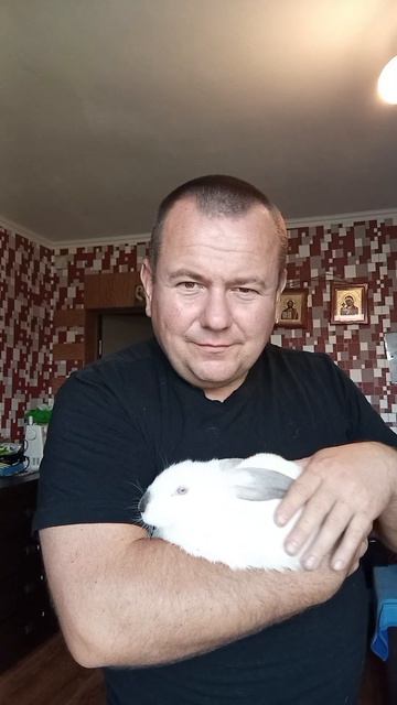 кролики