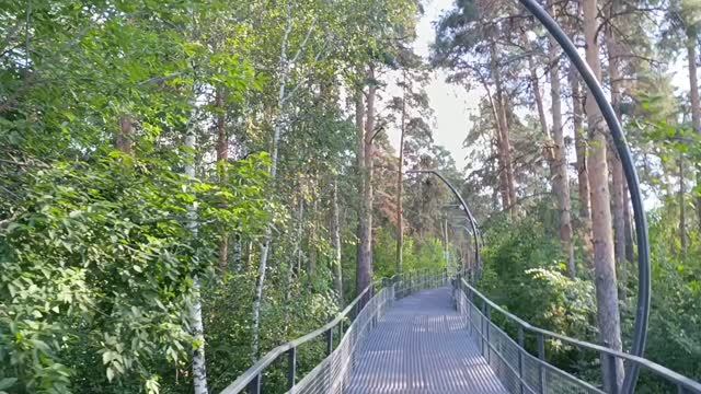 навесной мост впечатлил, дед при параде на месте, лесной вайб