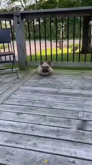 Актеры у которых еще нет Оскара 😁😁😁