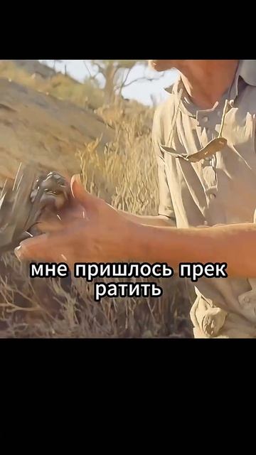 Краткий пересказ фильма 🔥🔥🔥