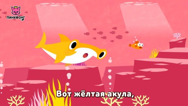 А-К-У-Л-А | Пойте с Акулёнком | Пинкфонг Песни для Детей