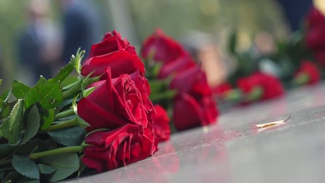 Дань уважения Владиславу Стрижову