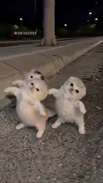 а этот залетит ЧАСТЬ 2
