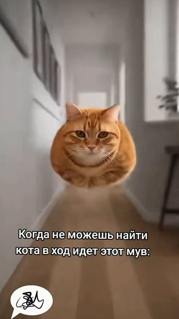 Telegram Dinarika_cattery